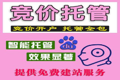 实战案例：SEM优化助力品牌知名度提升